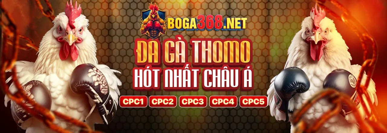 Đá gà kịch tính tại 68wim