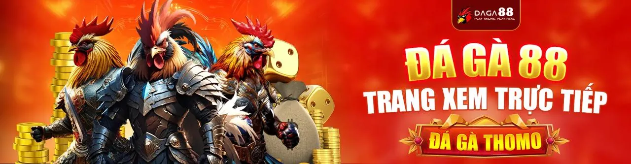 Hình ảnh chính của trang tin tức 68wim đá gà